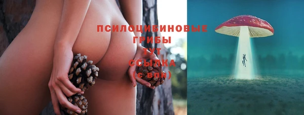 тгк Осташков